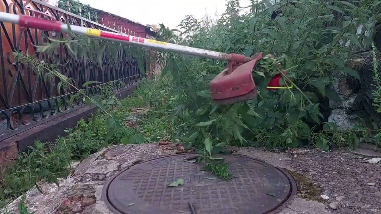 Косим крапиву 1.5 метра тримером 1 л.с