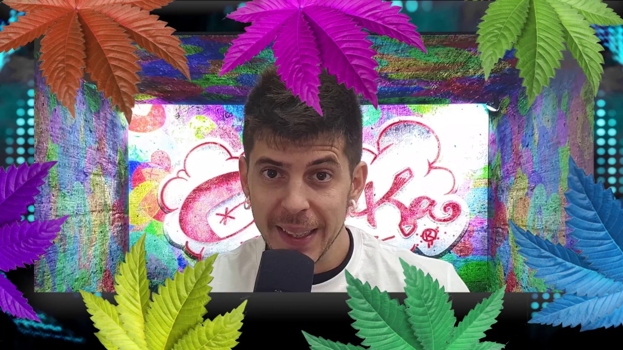 Marihuana de colores, antocianinas y tallos lilas