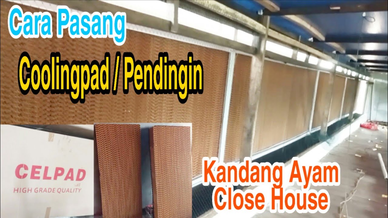 Pemasangan Coolingpad Kandang Ayam || Celpad Kandang Ayam || Pendingin Kandang Ayam - Coolingpad