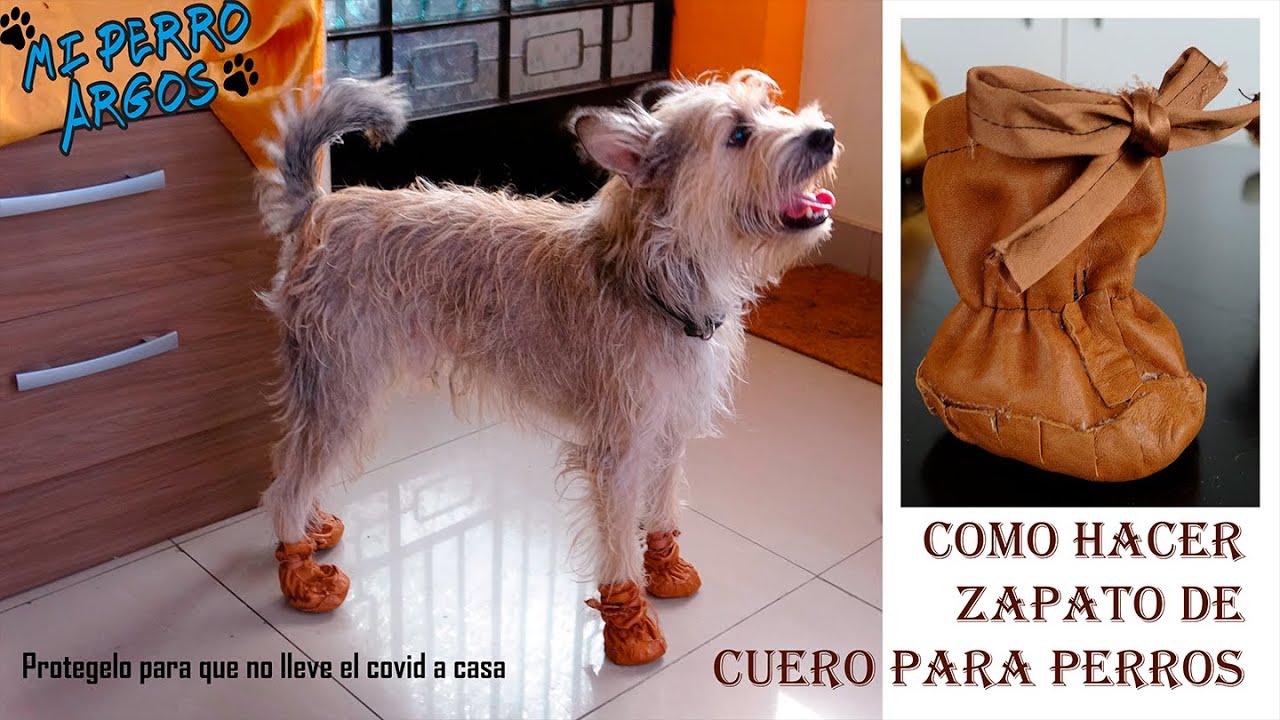 Como hacer ZAPATOS DE INVIERNO PARA PERROS, botas de cuero, reciclado, protegelo del covid-19