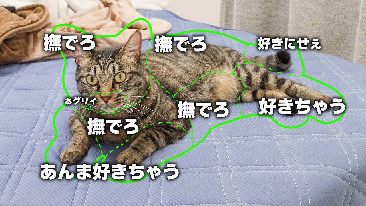 おさわりマップ通りに触ってみた