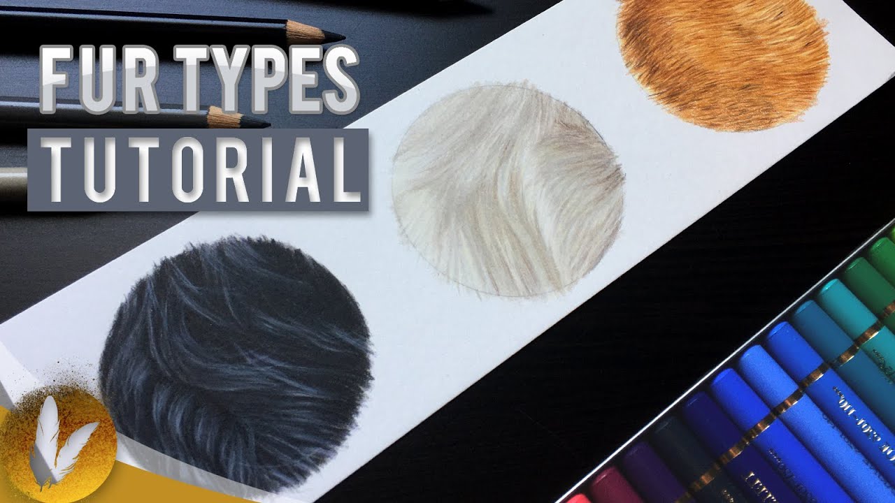 Colored Pencil Fur Types Tutorial | How To Draw Long, Short, And Wavy Fur Using Colored Pencils