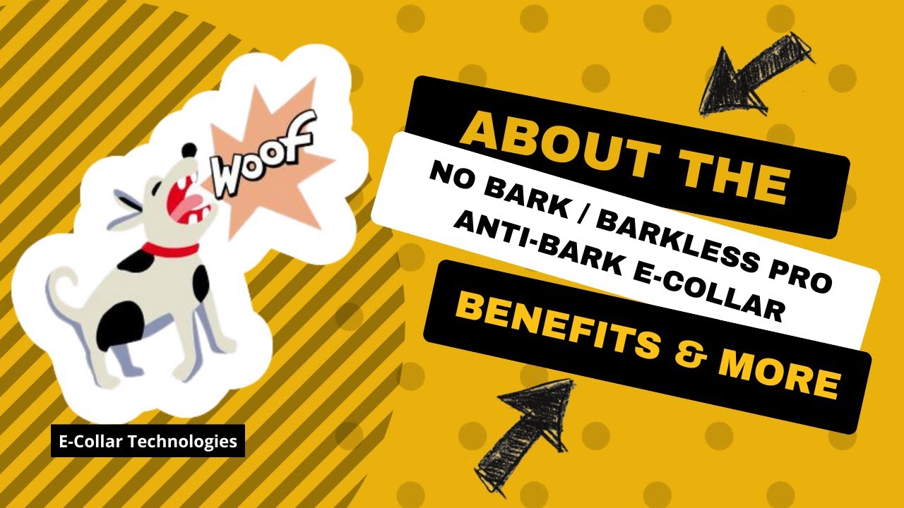Barkless Pro Anti-Bark BP 504 E-Collar