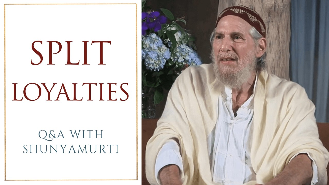Money, Meaning, or Liberation? | Q&A With Shunyamurti