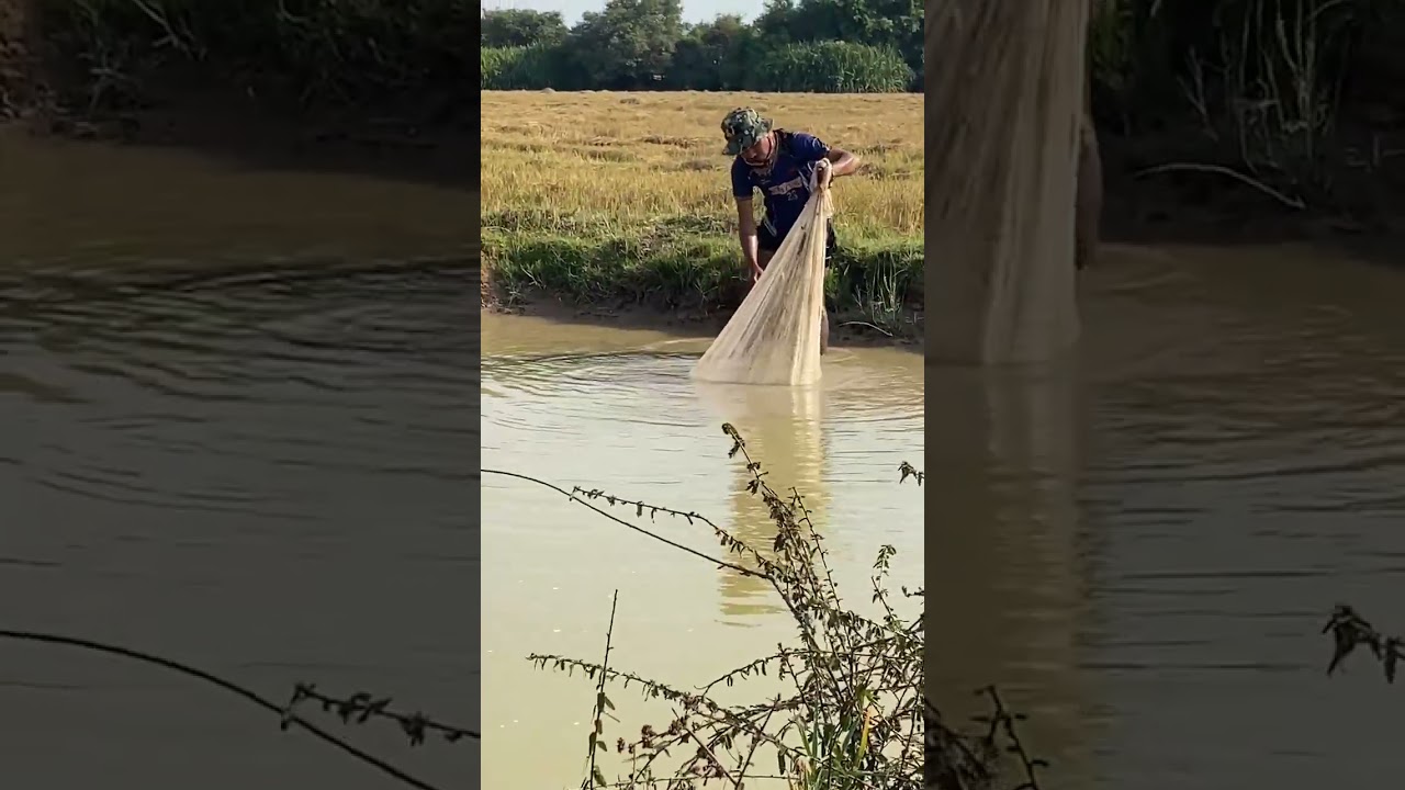 PT 2 #fishing #viral #youtubeshorts