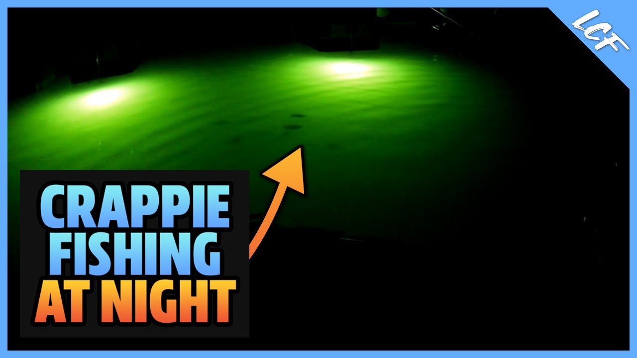 🎣 Catching Crappie at Night with a BIG SURPRISE!
