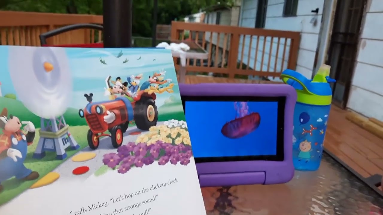 Disney Junior Storybook Collection Mickey & Donald Have A Farm