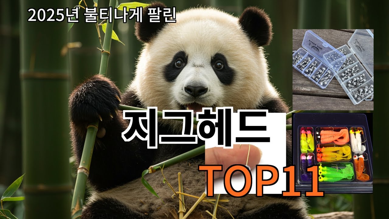 알리 지그헤드 알리 쇼핑 실패 줄여주는 아이템