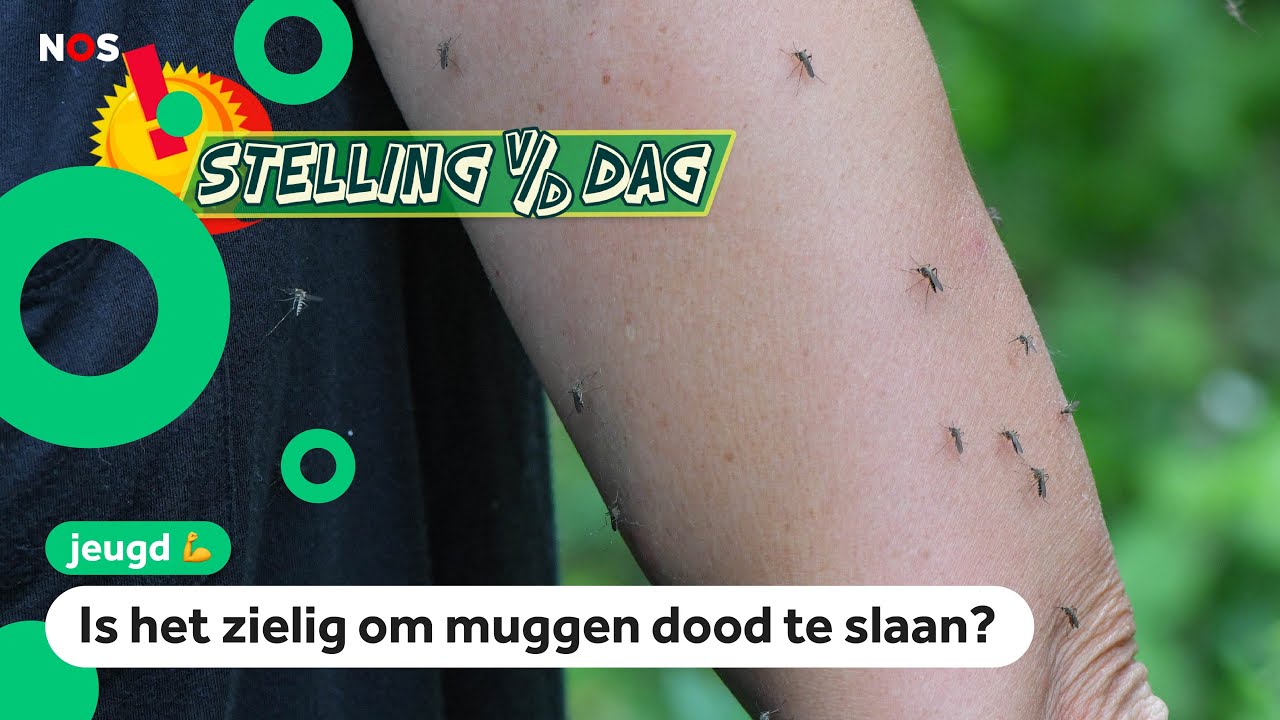 Nieuwe app voor foto's van dode muggen: 'Niet te hard slaan!'