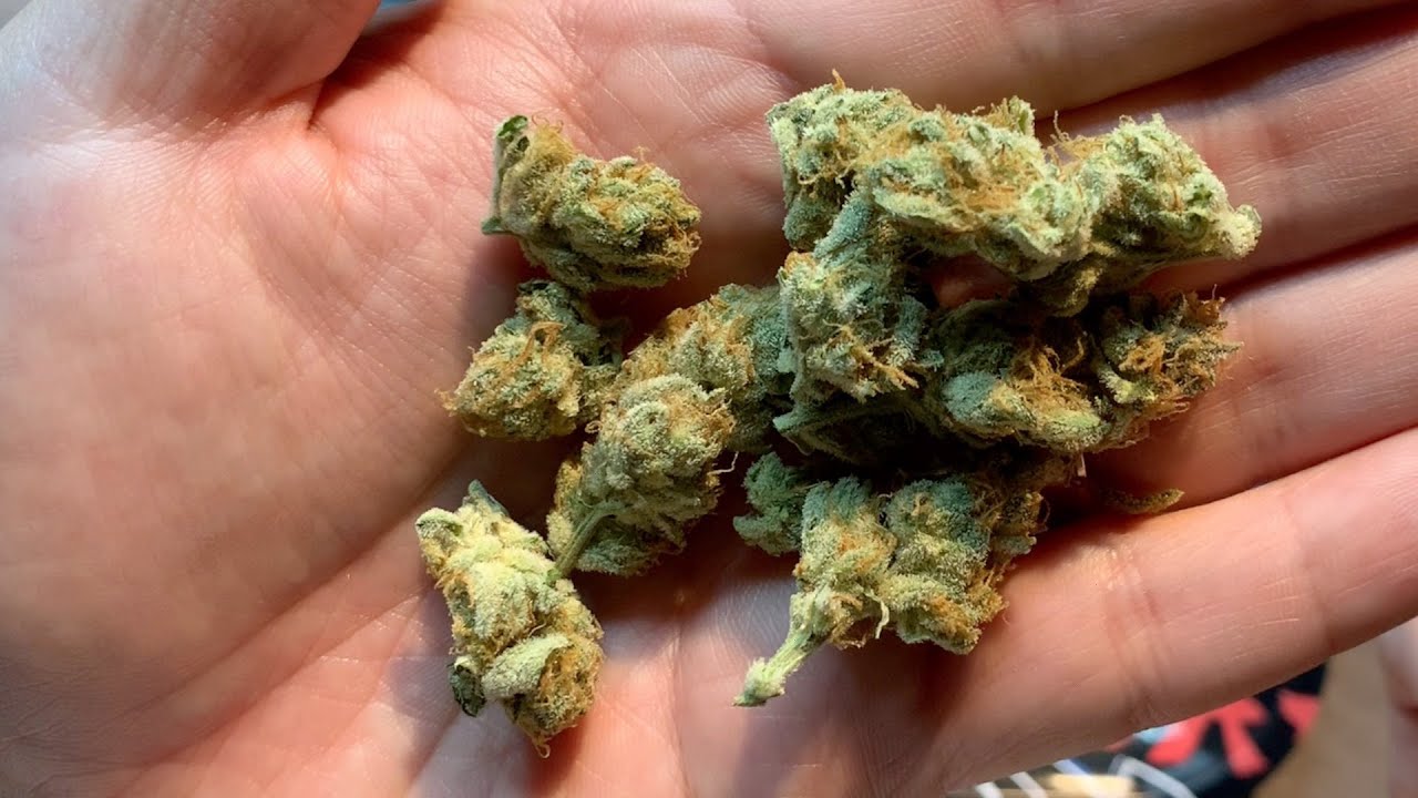 Orange Cream #26 Strain Review - 710 Labs Flower (Happy 420)