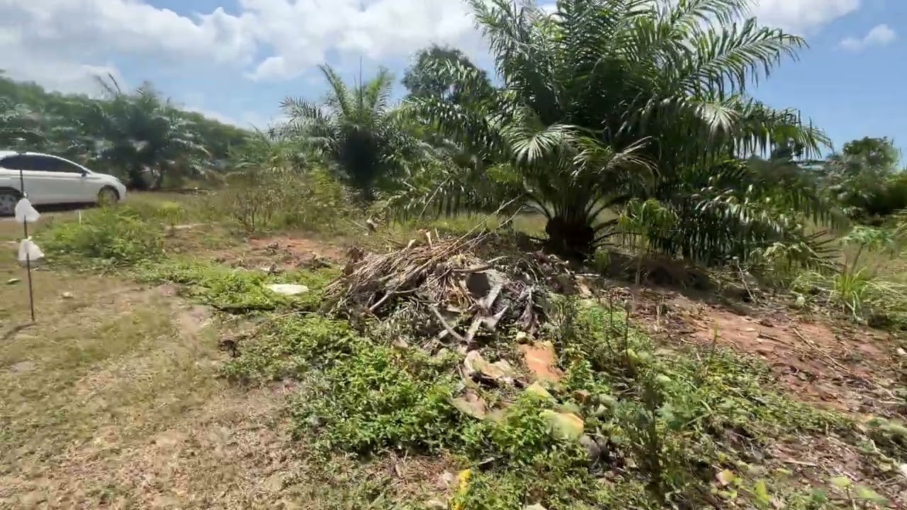 Prime Mountain View Land for Lease in Ao Nang, Krabi – Surrounded by Pool Villas, Ideal for Business