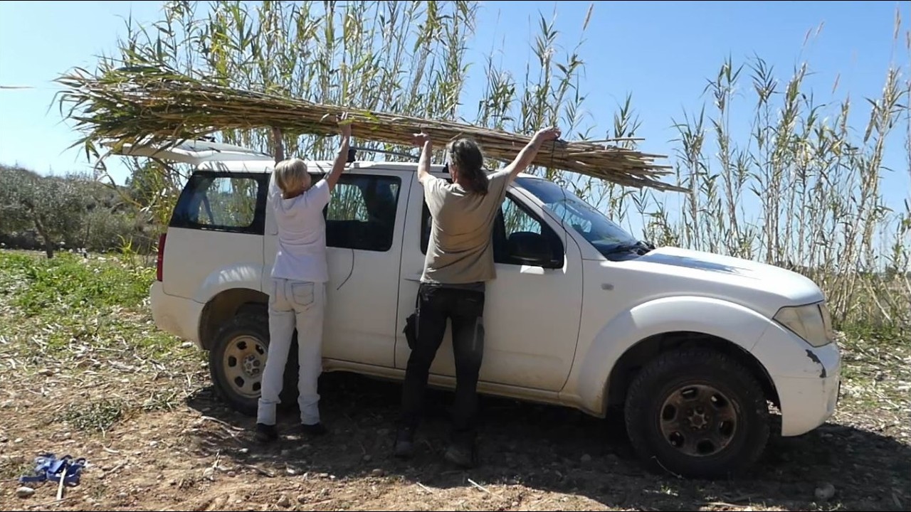 Harvesting Bamboo for a Traditional Roof Repair | Free Materials & Old Techniques