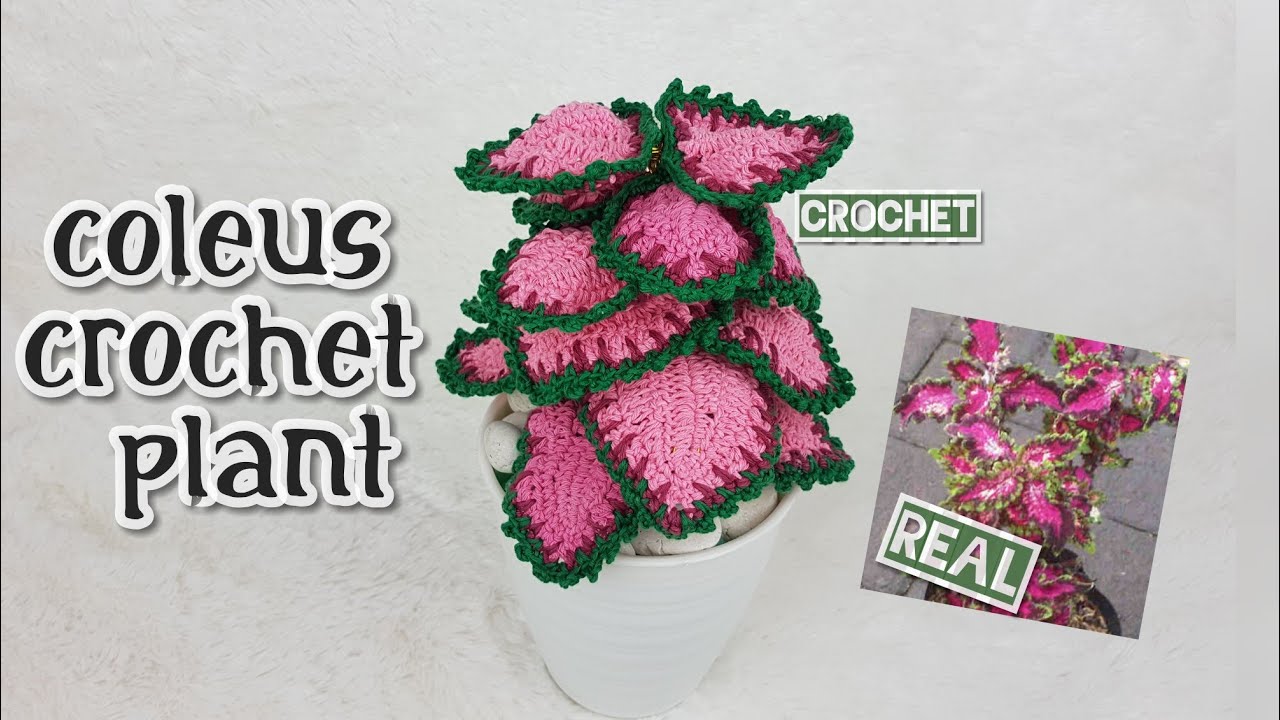 How to crochet coleus plectranthus scutellarioides plant tutorial and pattern