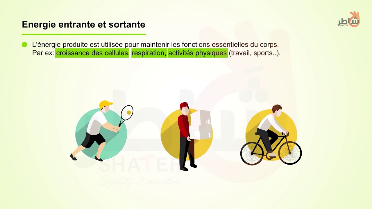 Utilisation de nourriture par le corps