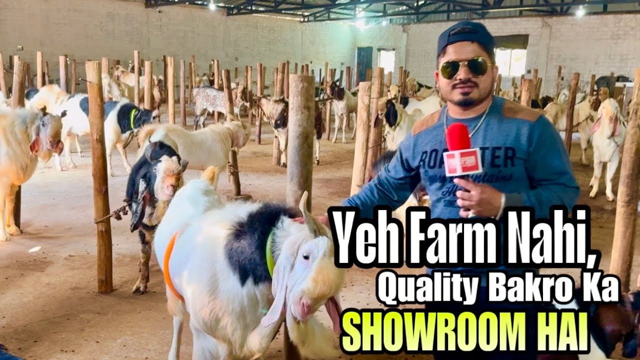 Yeh Farm Nahi, Malwa/Kota Bakro Ka Showroom Hai | Bin Waheed Farms Bhopal