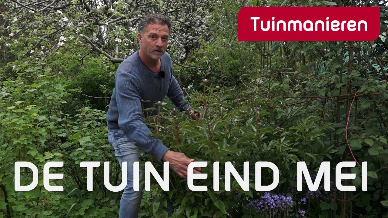 Wat doe je in de tuin eind mei? | Tuinieren 2021 | Tuinmanieren