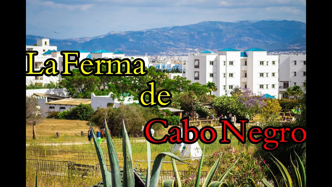 مزرعة La Ferma De Cabo Negro بمنطقة كابو نيغرو ❤ القريبة من تطوان 😍🕊 Cabo Negro, TETOUAN