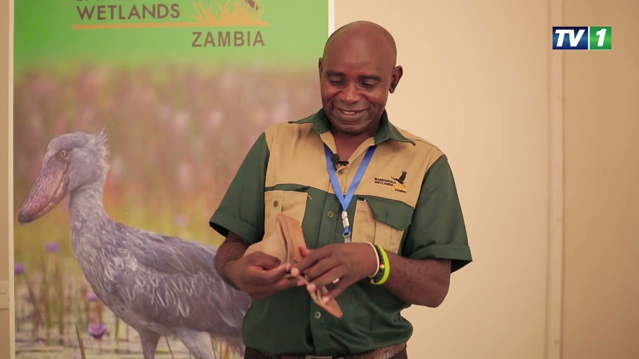 AFRICAN PARKS-ZNBC-MINI DOCUMENTARY ON ITS PROJECTS IN ZAMBIA