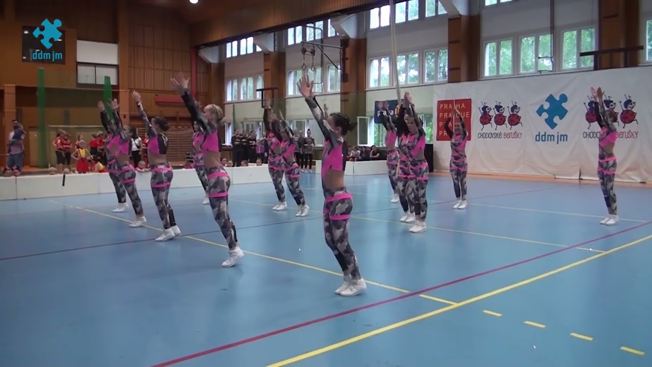 2022 06 04 AKCE Chodovské berušky / Wellness Team Lucie Novákové / Army Girls