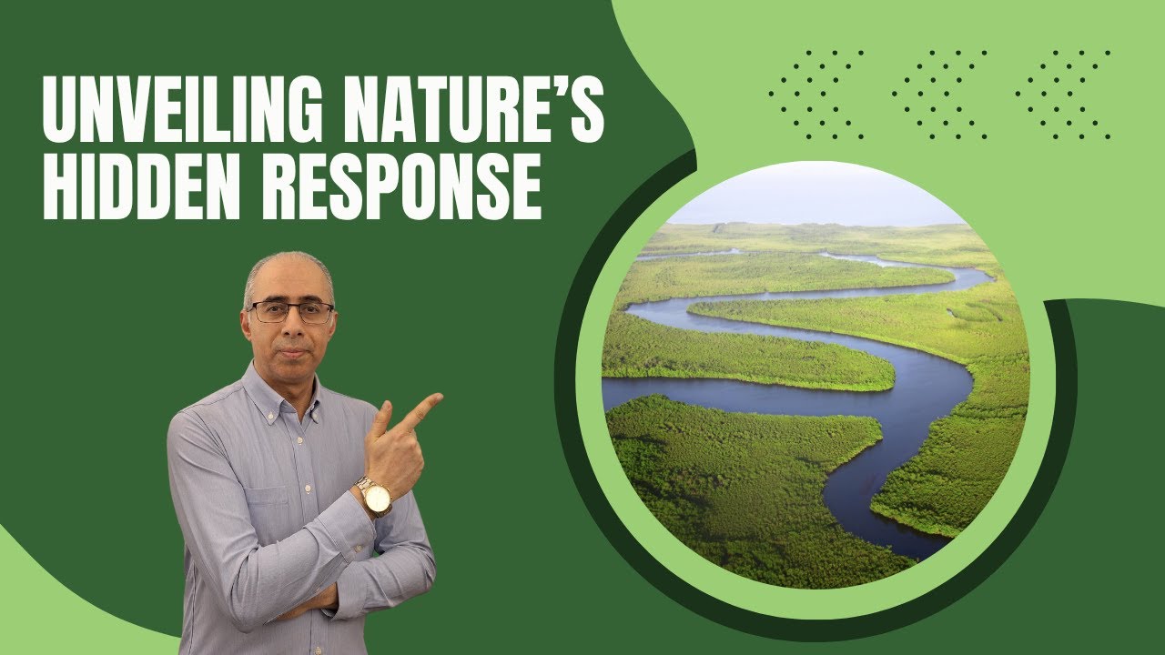 How Catchments Respond to Rainfall | Catchment Dynamics and Influencing Factors Explained