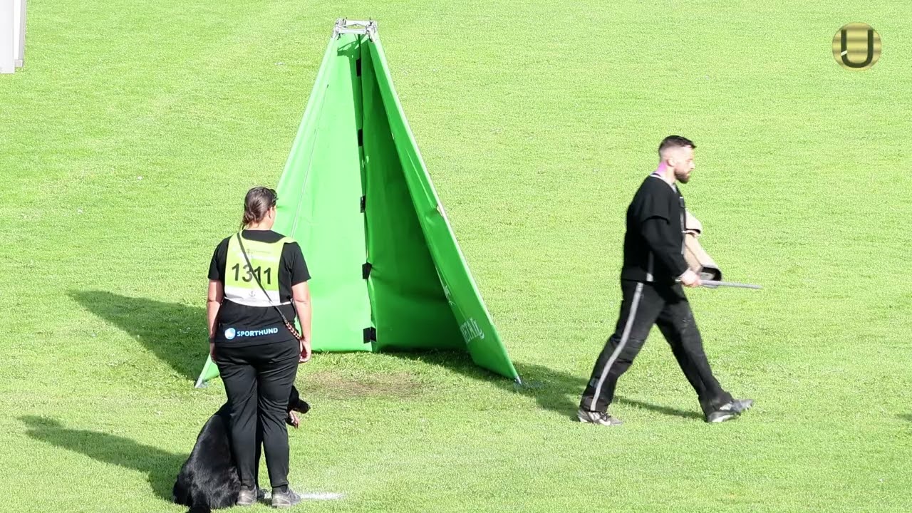 Peggy Späth mit dem Rüden Artax von den Germanenwölfen (INT) im Schutzdienst