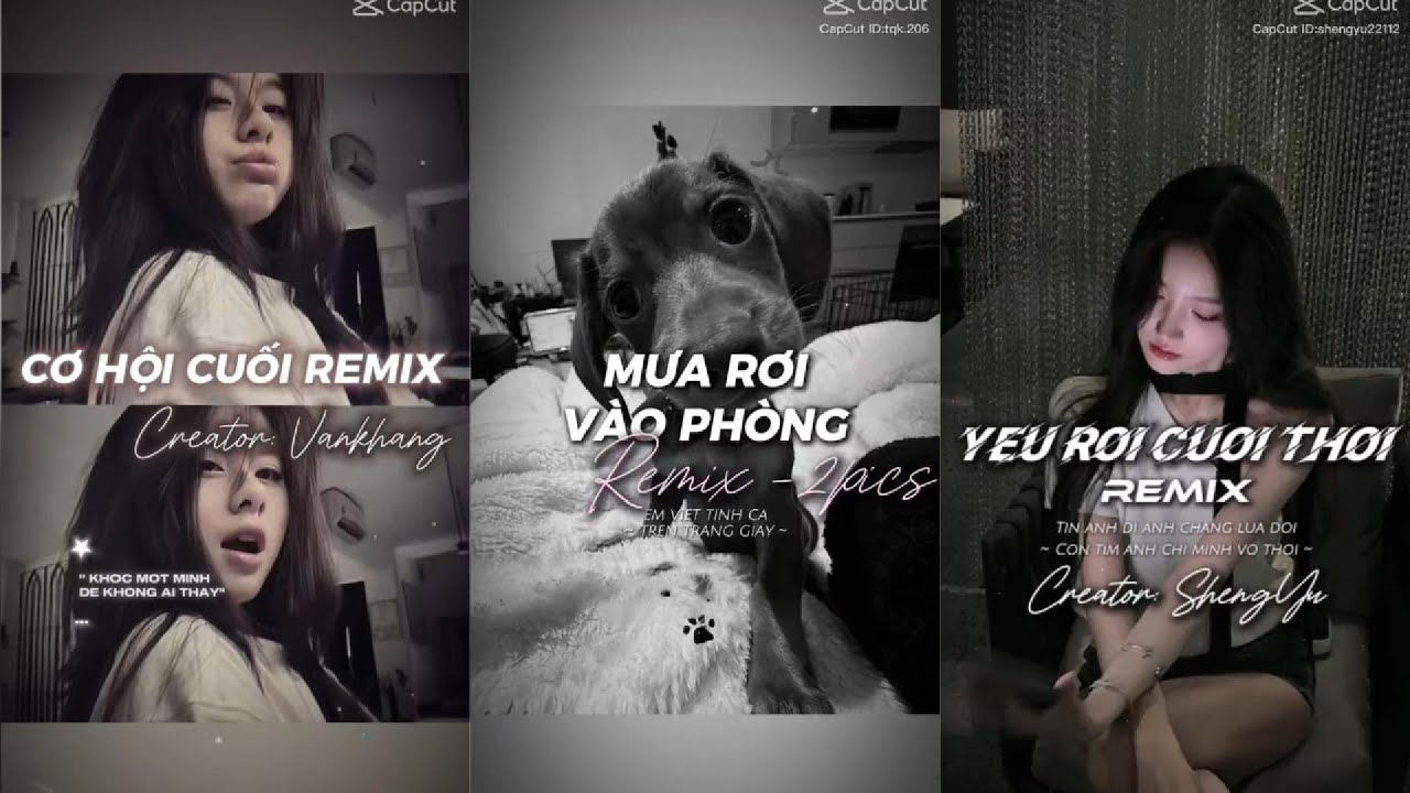 [Tik Tok] Tổng hợp những bài nhạc remix cực hay trên Tik Tok P.141