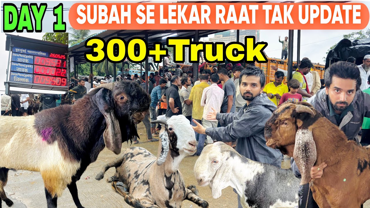 DEONAR BAKRA MANDI DAY 1 LATEST UPDATE SUBAH SE LEKAR RAAT TAK UPDATE 26 May 2025