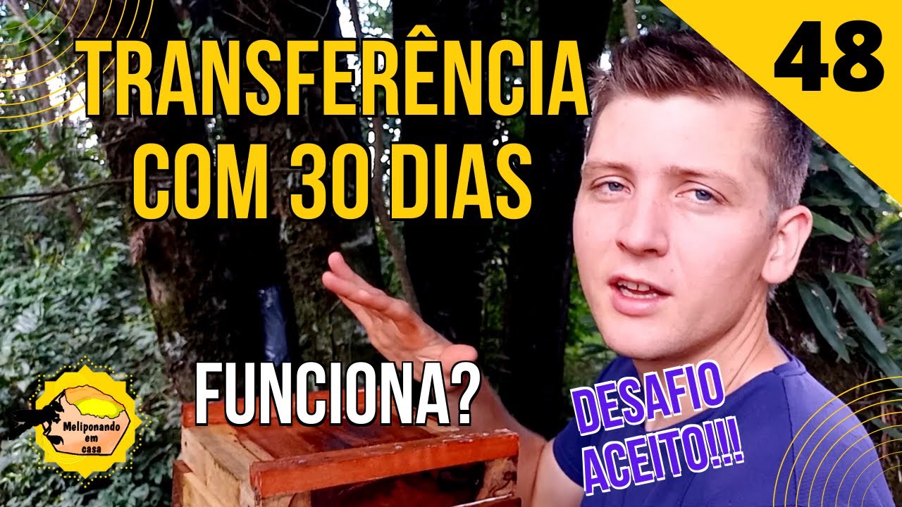 048 - Transferência de Jataí com 30 dias no outono