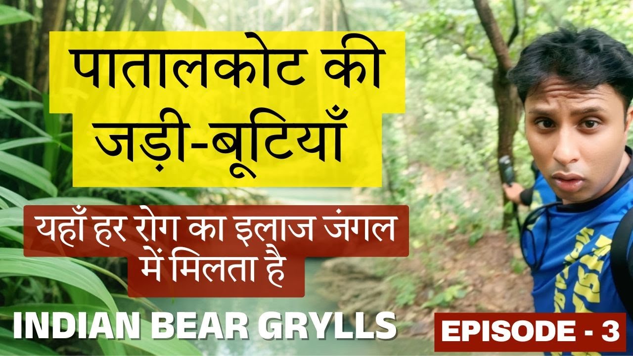 Patalkot’s Herbal Secrets – Desi Cure for Every Disease | पातालकोट की जड़ी-बूटियाँ