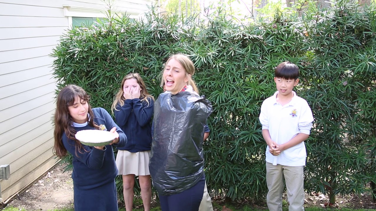 Pie in the Teacher's Face for Pi Day - March 14, 2018