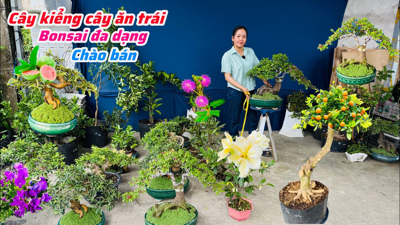 Cây kiểng,cây ăn trái bonsai đa dạng cây đẹp chào bán..06/01😘📲 0334.270.232.Bích-Nhung