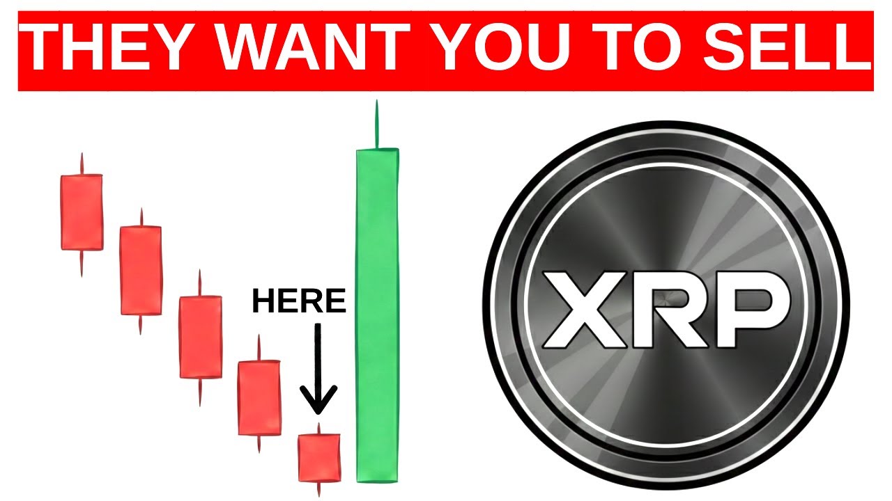 XRP Crashes Make People Sell Too Early? 😨 The True Story