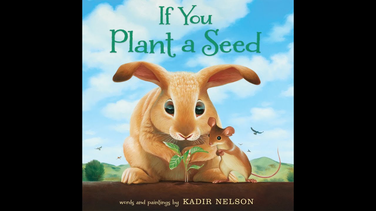 If You Plant A Seed
