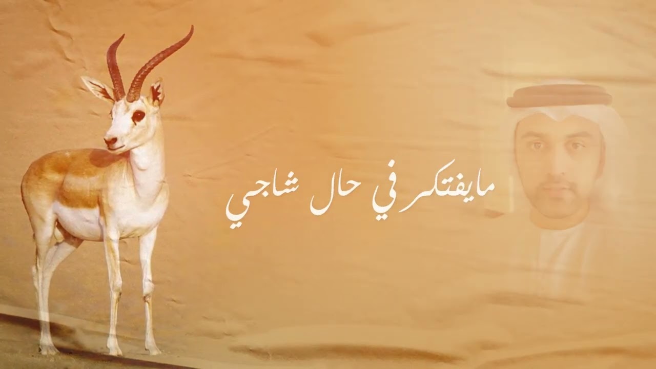 محمد الماسي - لي كاعبن - فواد خلي - اغاني حصريا 2023 HD