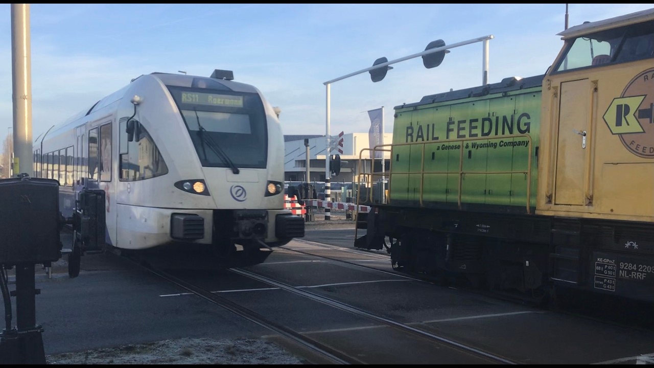 Routier/ Curtici Shuttle Intermodal Trains meets Arriva passenger Train at Blerick 🇳🇱 Feb 15-2026 🚂🚂