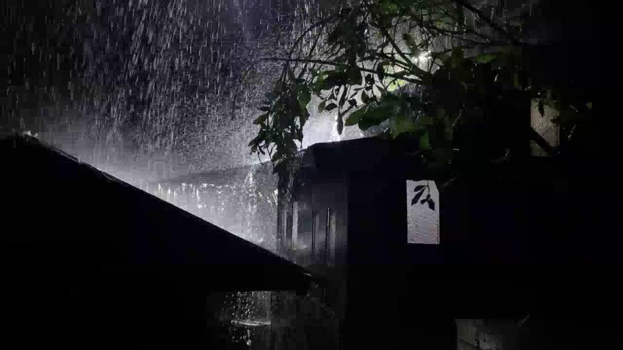 ASMR Heavy Rain on Tin Roof | Relax & Sleep Fast