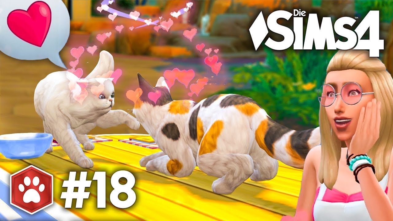 Ein Zuchtkater für Schnee 😏 | Let's Play Die Sims 4 Hunde & Katzen #18