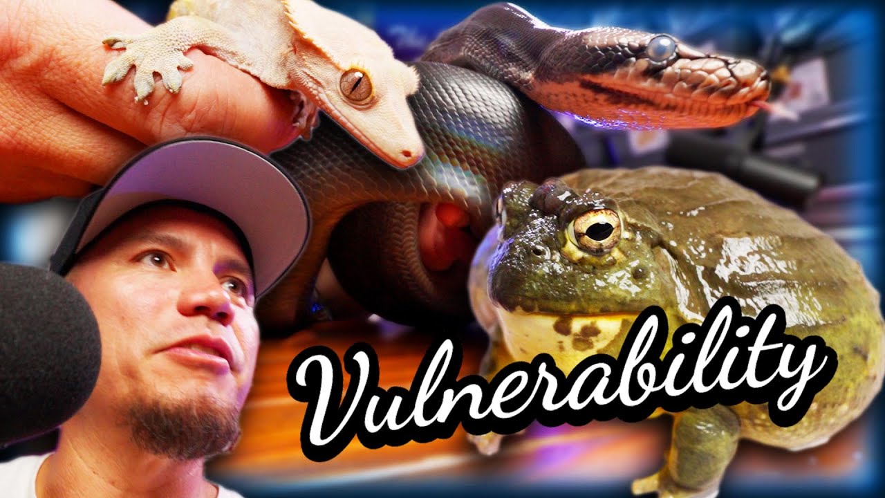 The Vulnerability of Humans and Animals