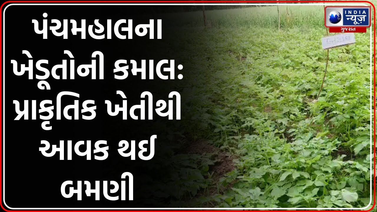 Panchmahal: પ્રાકૃતિક ખેતીથી ખેડૂતો થયા સમૃદ્ધ, આવક થઈ બમણી | ATMA Project Gujarat