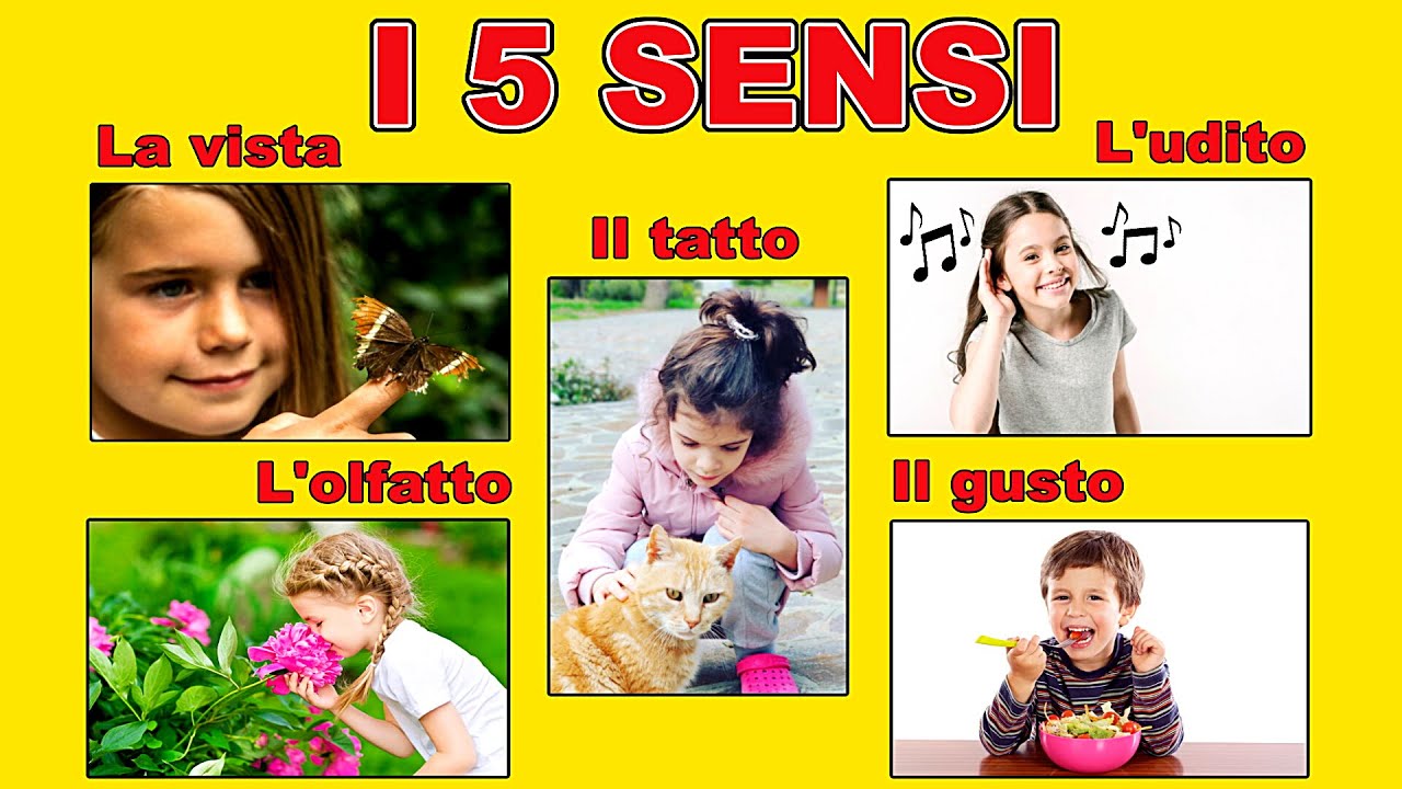 👀👃🏼👅👂🏼🖐🏼 I CINQUE SENSI - Lezione di Scienze per la Scuola Primaria 👩🏻‍🏫