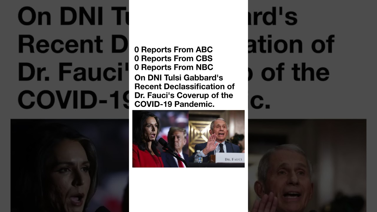 Tulsi Gabbard Claims Spark Debate