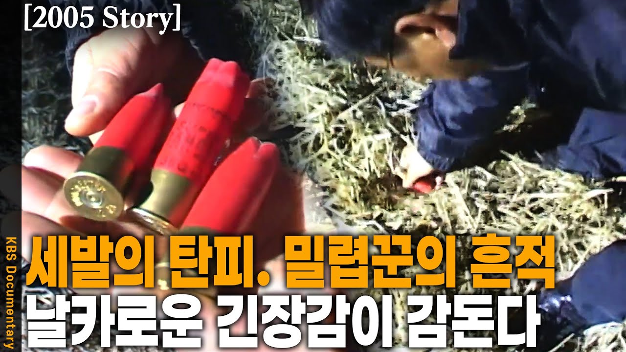 [2005 Story] 순찰 도중 발견한 탄피.. 철새를 노리는 밀렵꾼과의 전쟁 | KBS 20050104 방송
