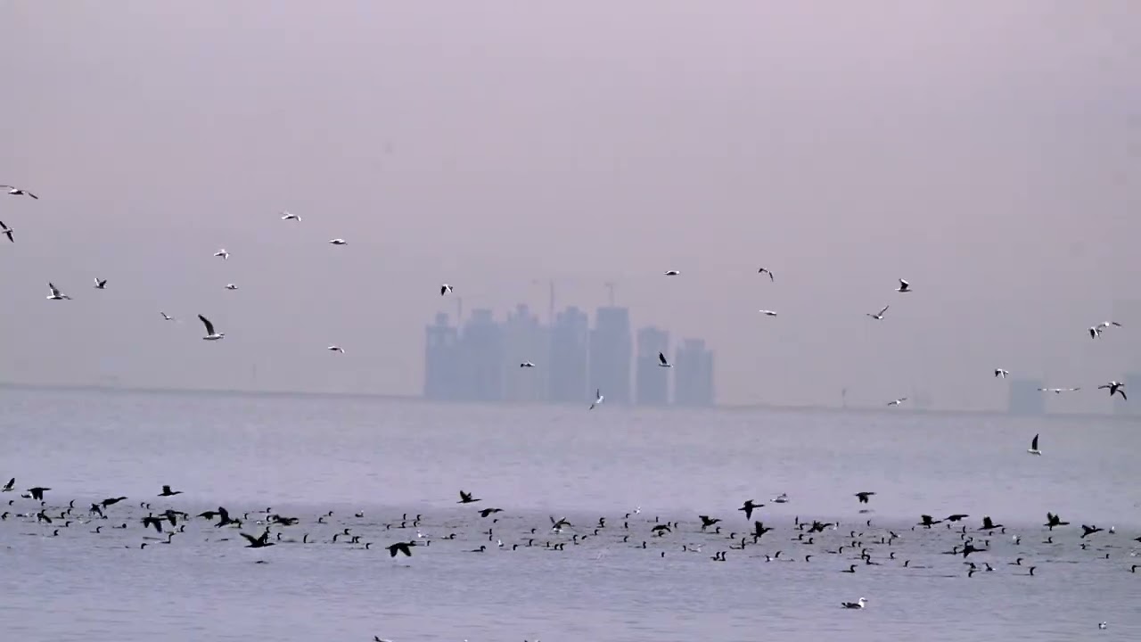 أماكن رائعة في مدينة الخبر  Wonderful places in the city of Khobar