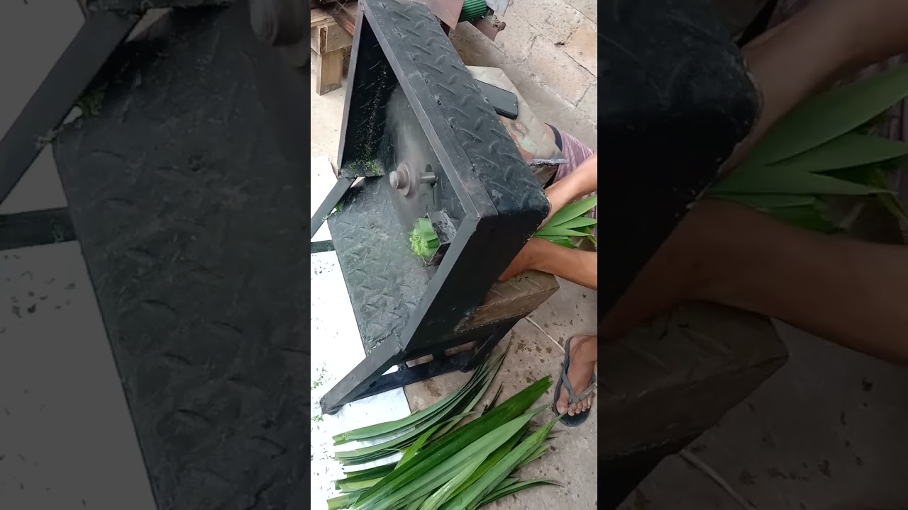 mesin rajang daun pandan