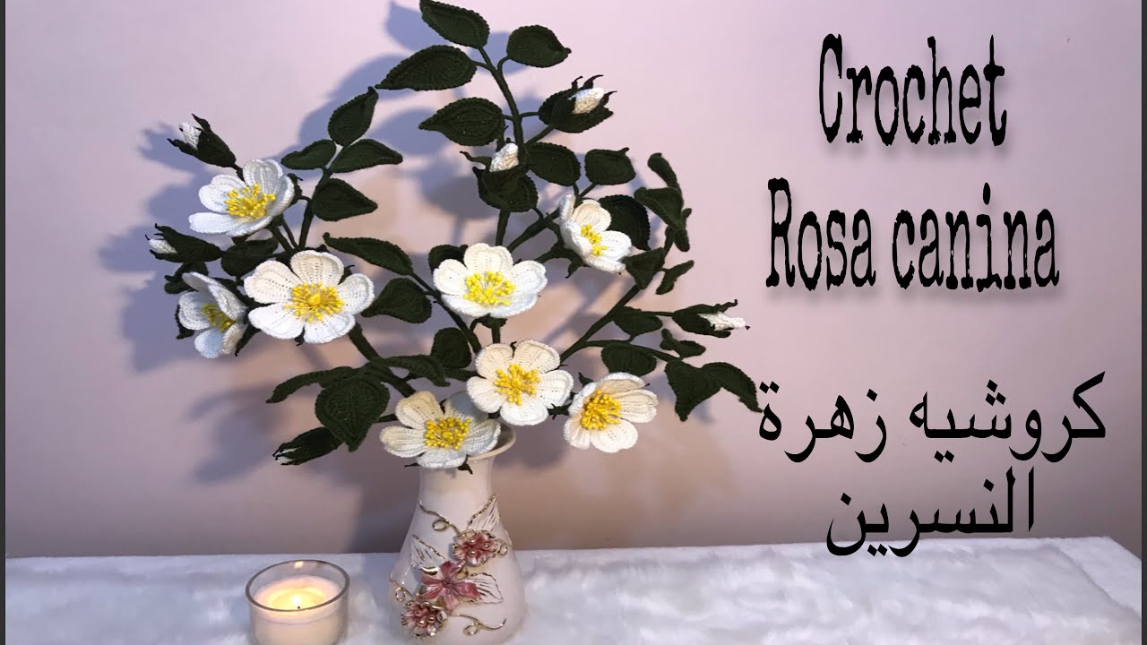 Crochet Rosa canina part (3) كروشيه زهرة النسرين