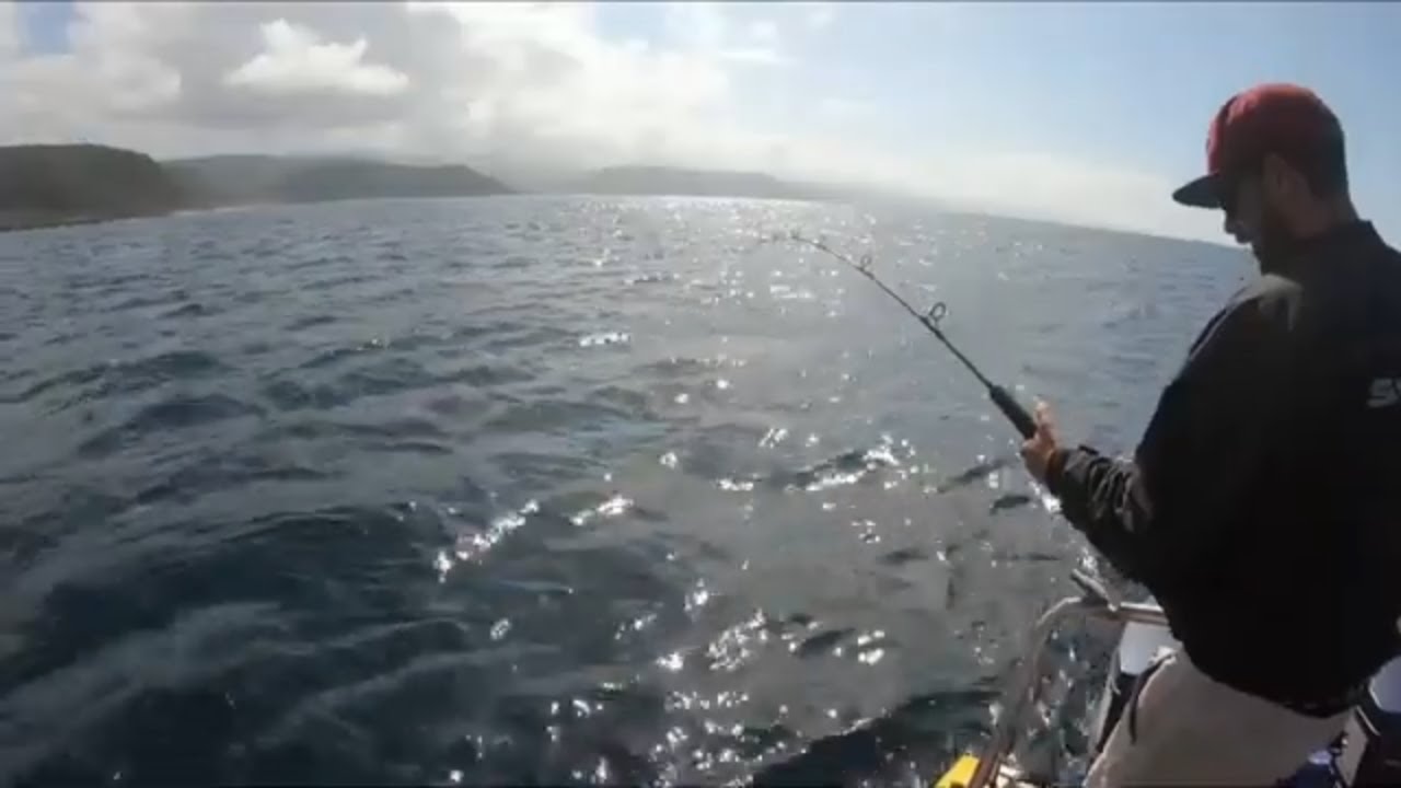 Yellowtail Amberjack Fishing - Plettenberg Bay (South Africa)