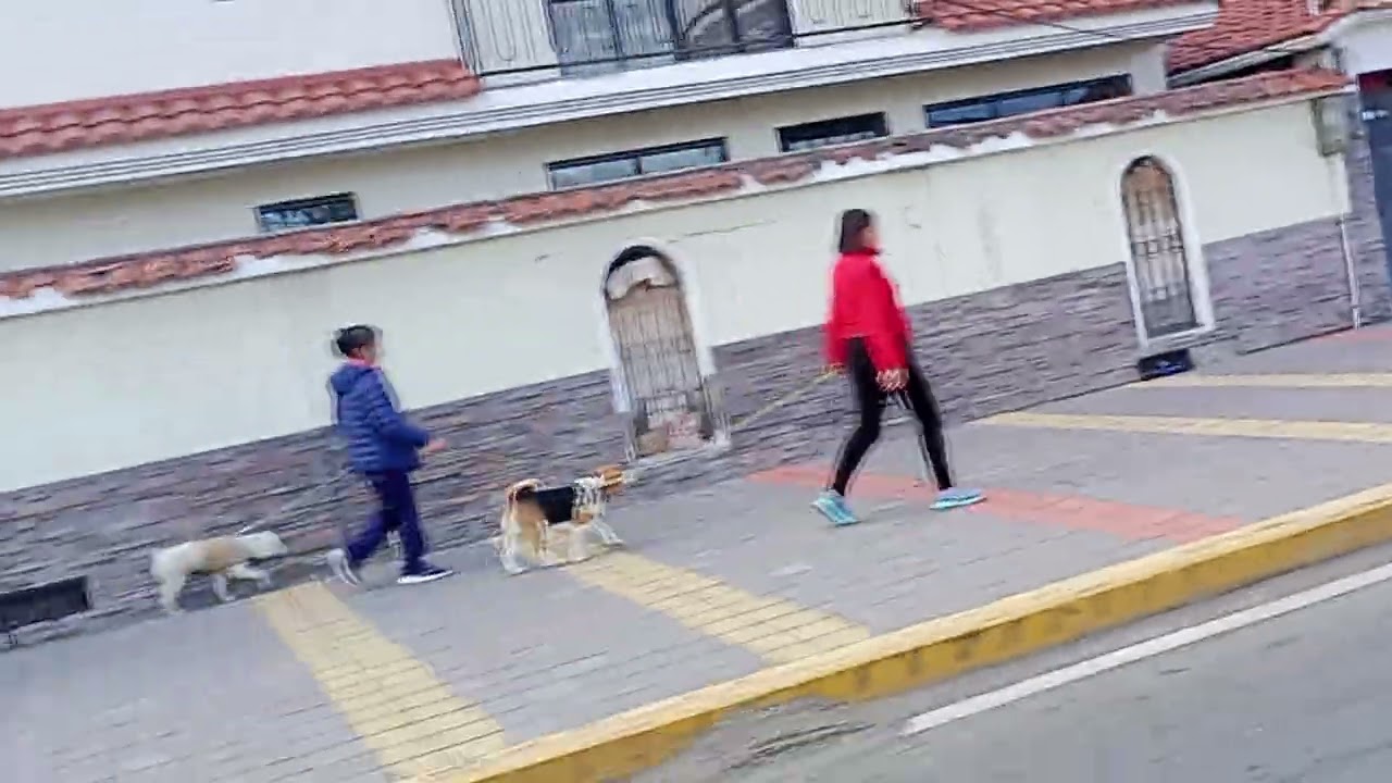 BEnseñándole al alcalde de #Pujilí diferencias entre zona urbana y rural que indica su ordenanza 