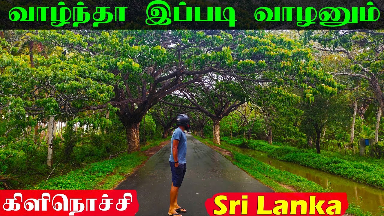 கிளிநொச்சி போனால் இது கட்டாயம் | One Day Village Life In Kilinochchi | Vanneri kulam | Ks shankar