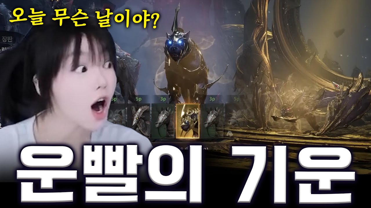 200만다야 뽑기.. 재합성권 너어.. #뱀피르