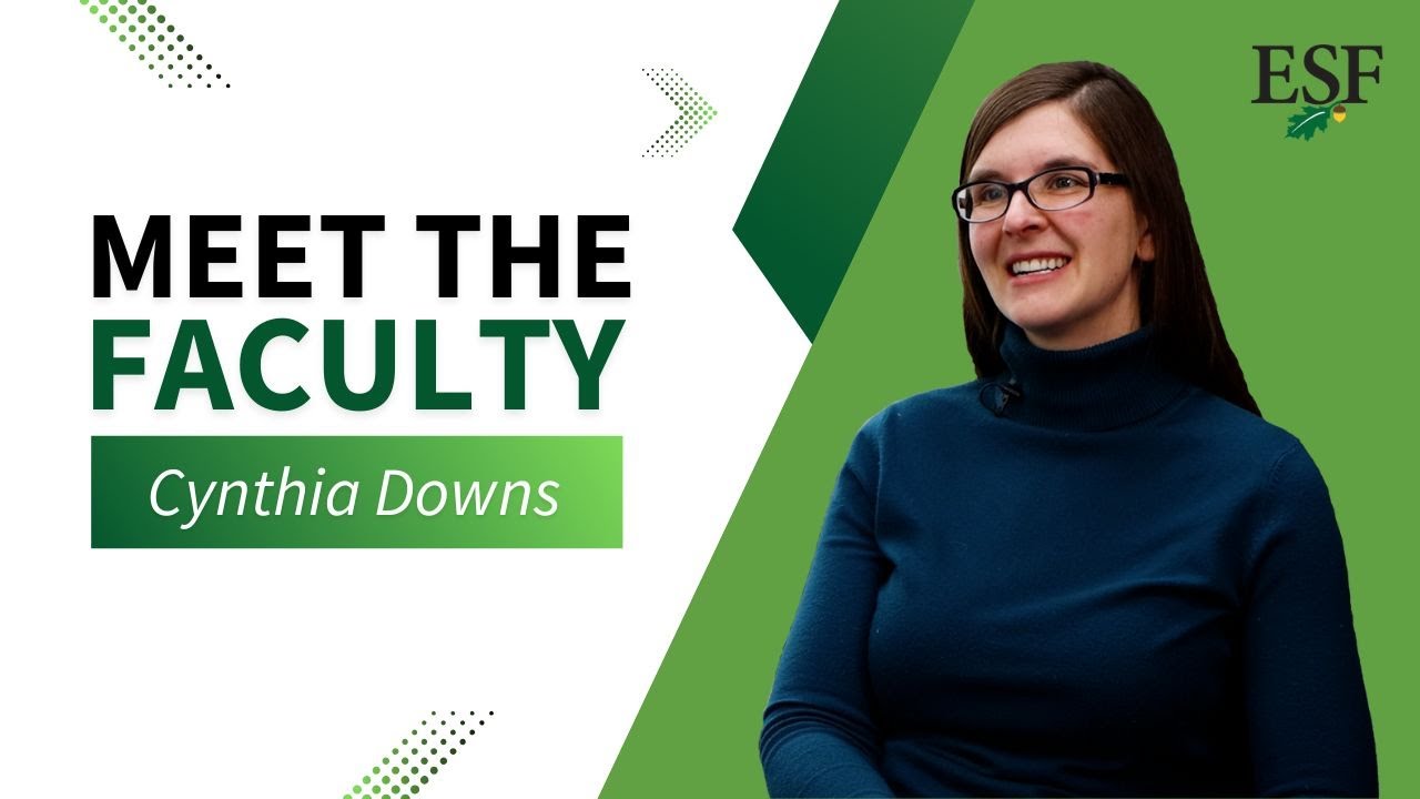 Cynthia Downs Studies Animals' Immune Systems | Meet The Faculty